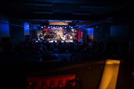 20. Festival slovenskega jazza (14)